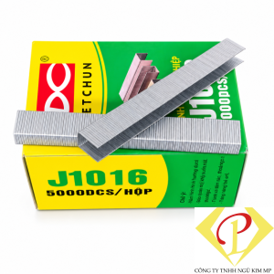 Đinh J1016