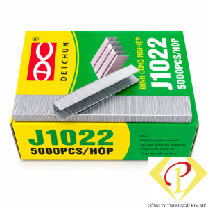Đinh J1022